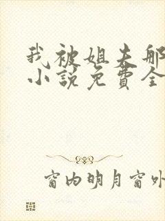 我被姐夫那些年小说免费全文阅读