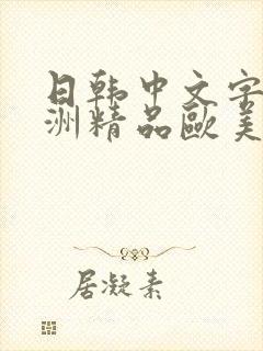 日韩中文字幕亚洲精品欧美人妻在线