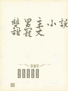 双男主小说推荐甜宠文