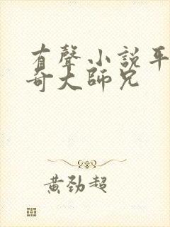 有声小说平平无奇大师兄封面