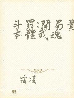 斗罗:开局觉醒本体武魂