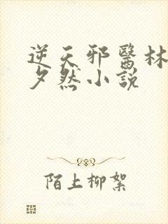 逆天邪医林辰苏夕然小说