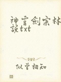 神霄剑宗林枫小说txt