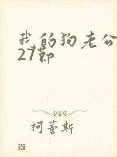 我的狗老公小说27节