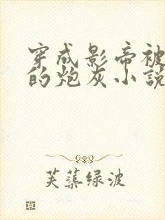 穿成影帝被抛弃的炮灰小说