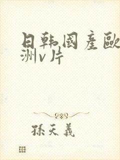 日韩国产欧美亚洲v片