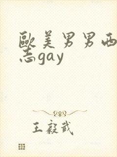 欧美男男西装同志gay