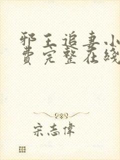 邪王追妻小说免费完整在线阅读