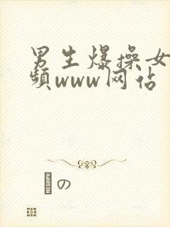 男生爆操女生视频www网站