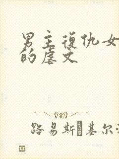 男主复仇女主家的虐文