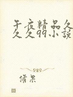 午夜精品久久久久久99小说