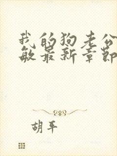 我的狗老公张淑敏最新章节免费阅读