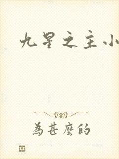 九星之主小说