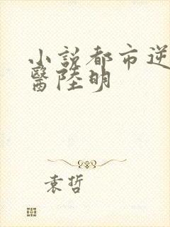 小说都市逆天邪医陆明