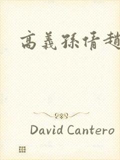 高义孙倩赵敏封面