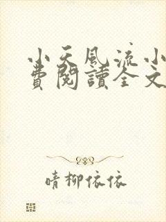 小天风流小说免费阅读全文最新章节