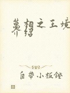 万相之王境界及介绍