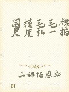 国模毛毛裸体大尺度私一拍