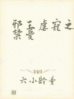 邪王虐宠之妃尝禁爱