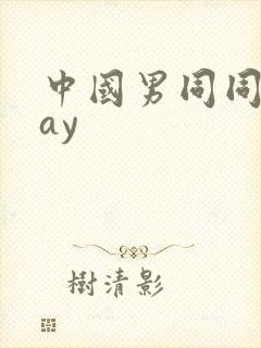 中国男同同性gay