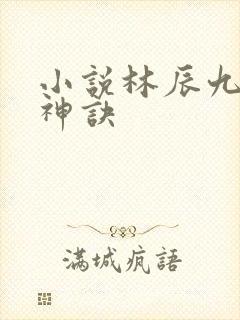 小说林辰九天斩神诀