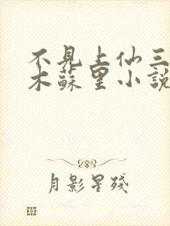 不见上仙三百年木苏里小说全文免费看封面