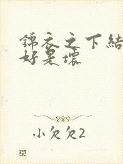 锦衣之下结局是好是坏