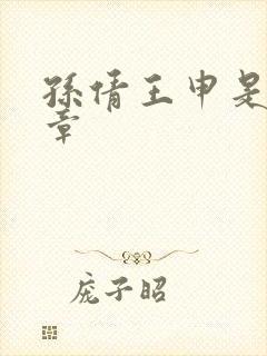 孙倩王申是第几章