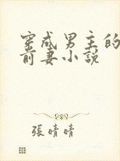 穿成男主的炮灰前妻小说