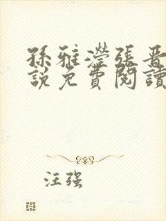 孙雅滢张晋的小说免费阅读无弹窗