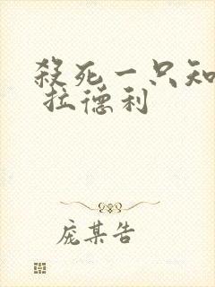 杀死一只知更鸟 拉德利