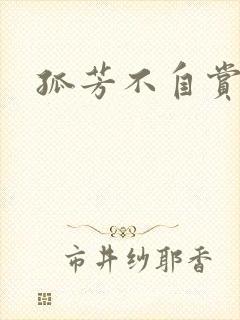 孤芳不自赏小说