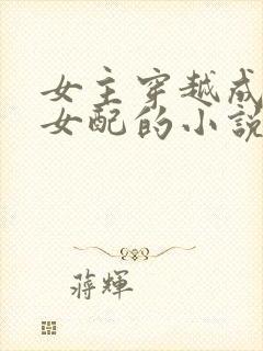 女主穿越成恶毒女配的小说