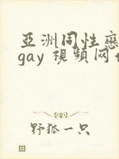 亚洲同性恋男 gay 视频网站封面