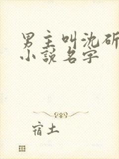 男主叫沈斫年的小说名字