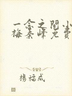 一念之间小说林梅秦峰免费阅读