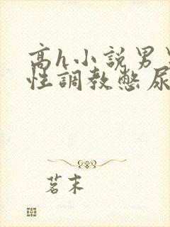 高h小说男男双性调教憋尿