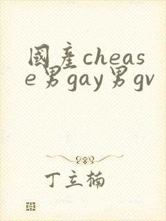 国产chease男gay男gv