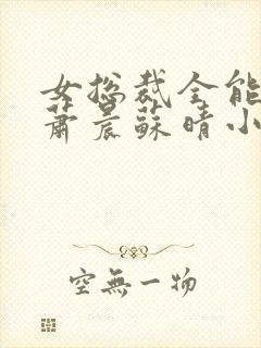 女总裁全能兵王萧晨苏晴小说封面