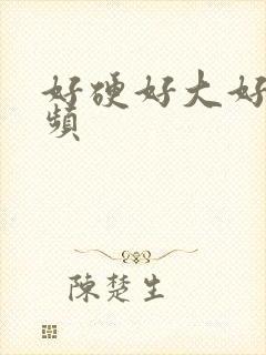 好硬好大好爽视频