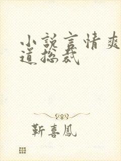 小说言情爽文霸道总裁