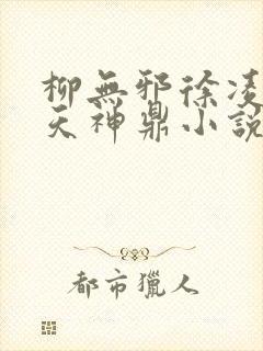 柳无邪徐凌雪吞天神鼎小说在线阅读