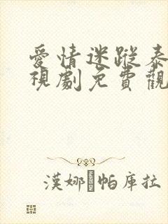 爱情迷踪泰剧电视剧免费观看