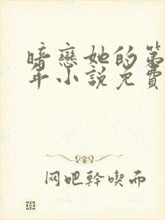 暗恋她的第十一年小说免费阅读封面