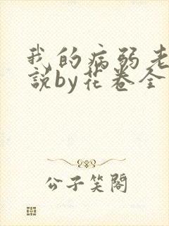 我的病弱老婆小说by花卷全文