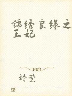 锦绣良缘之北地王妃