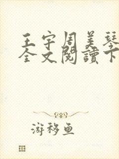 王宇周美琴小说全文阅读下载