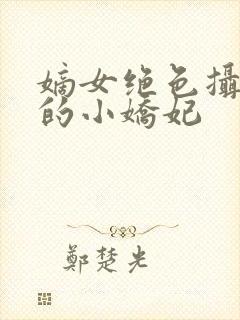 嫡女绝色摄政王的小娇妃