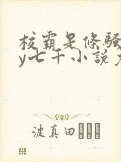 校霸是条骚狗by七千小说免费阅读封面