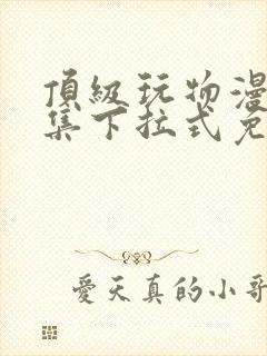 顶级玩物漫画全集下拉式免费观看